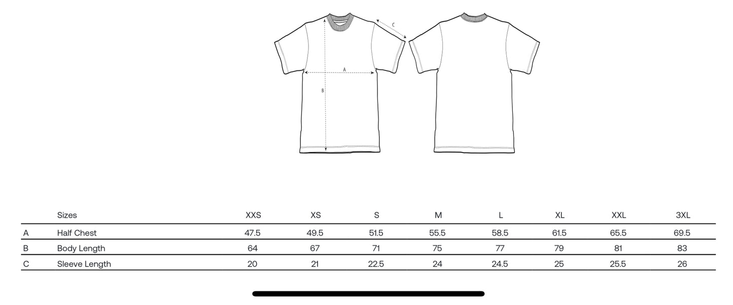 Arctic Adventurers T-shirt